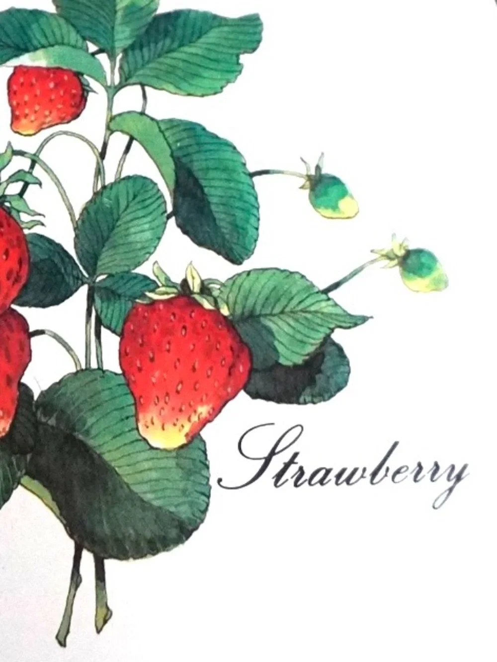 Vintage Strawberry Trivet cork back hot pad plate